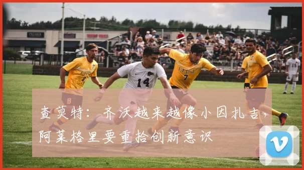 查莫特：齐沃越来越像小因扎吉，阿莱格里要重拾创新意识