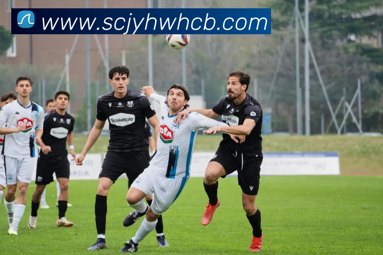 App Interface Preview