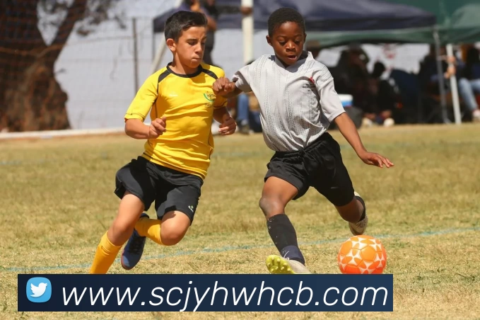 开云(中国)Kaiyun·官方网站 - 登录入口APP 封面图